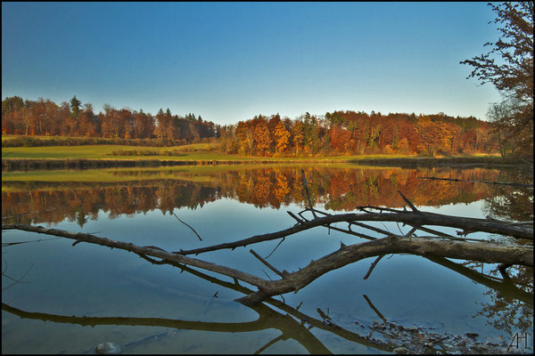 Morgentshofsee im Herbst