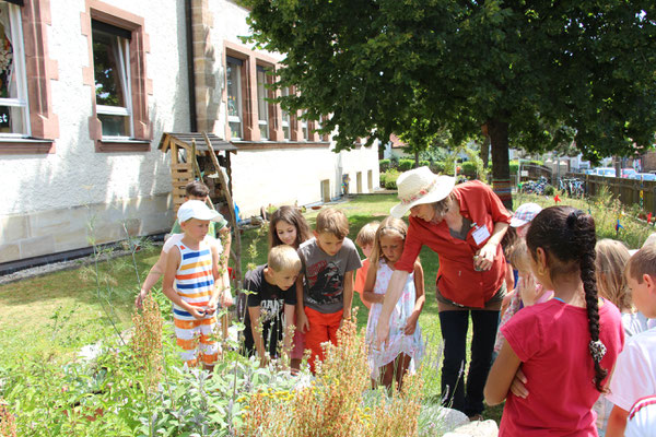 Umweltbildung Schulgarten (Foto: LBV Referat Umweltbildung)