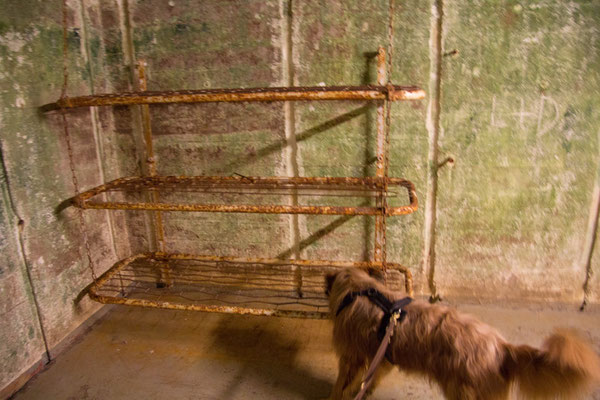 Schoner Schlafen In Der Jugendherberge Jugendherbergen