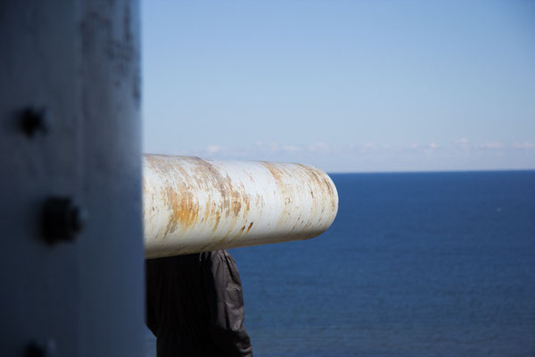 Das Mowenkind Wunscht Einen Guten Morgen Schone Grusse Von Der