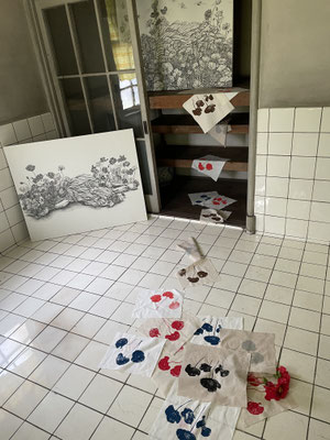 The Flower of Reincarnation/Installation
