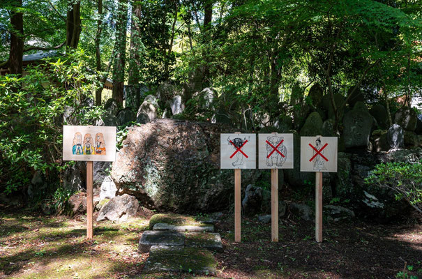 A garden/Installation