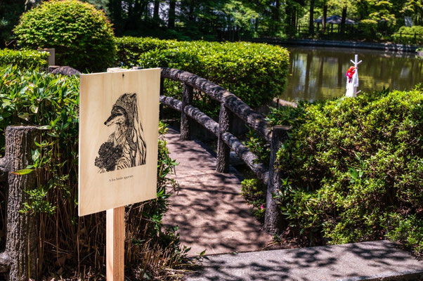 A garden/Installation