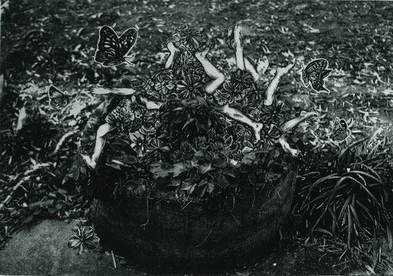 From the well/solar plate/21×29.7cm/2013 