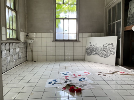 The Flower of Reincarnation/Installation