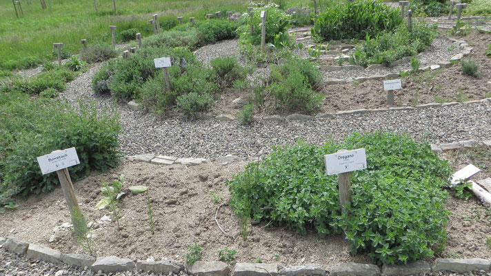 Kräuterspirale von oben aus gesehen