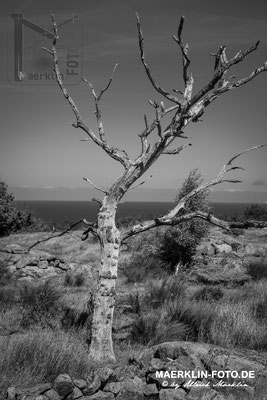 Hammer Odde (Bornholm, Dänemark)