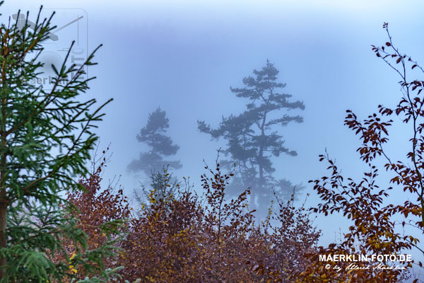 Donautal bei Herbstnebel