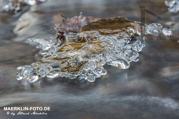 Frost im Naturpark Schönbuch, Eis über dem Bach