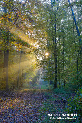Naturpark Schönbuch