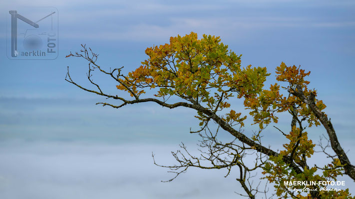 Mönchberg, Nebel über dem Ammertal