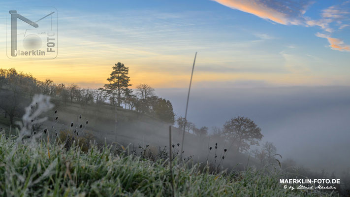 Herrenberg-Kayh, Nebel über dem Ammertalerrenberg-Kayh, Nebel über dem Ammertal