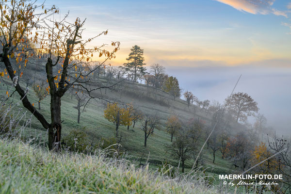 Herrenberg-Kayh, Nebel über dem Ammertal