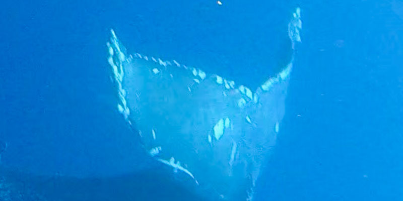 20230121a_Kuse_Kurihara_G1