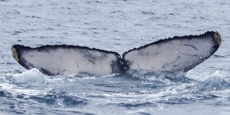 20230106J_Mitsuse_Oki_MYCE_YEARINGCALF_I,K