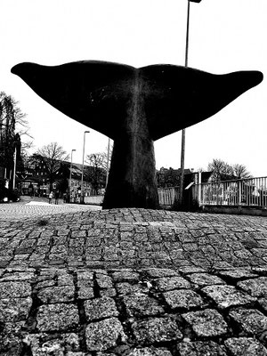 Walflosse Vegesack