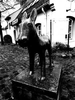 Grauer Esel