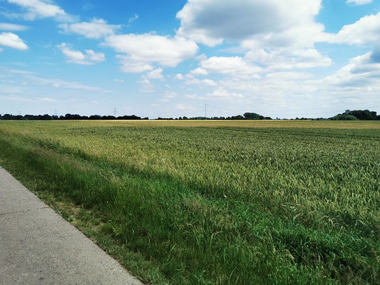 Weserradweg