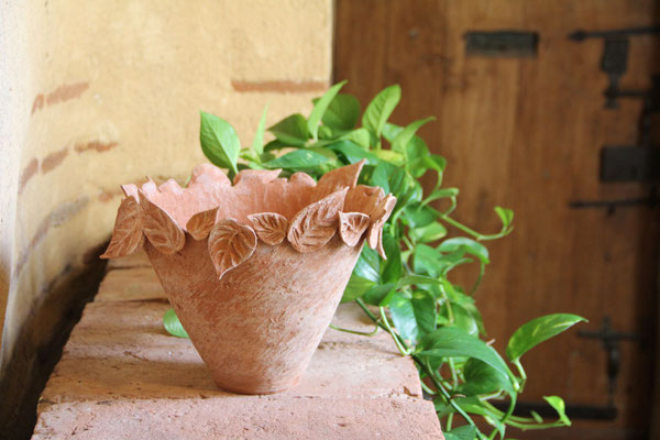 pot pour Pothos " une Respiration "