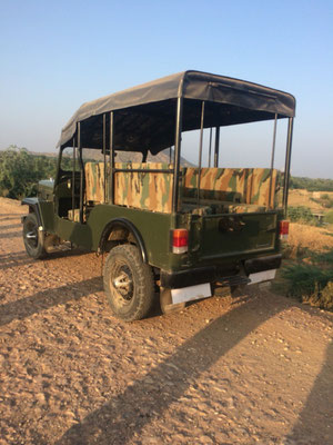 Unser Jeep mit dem wir die Gegend erkundet haben 