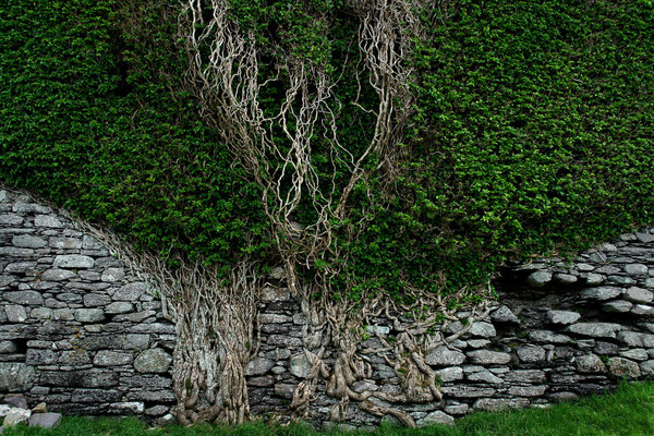 Ballycarbery Castle Ruin near Cahersiveen