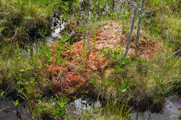 Hamra Nationalpark