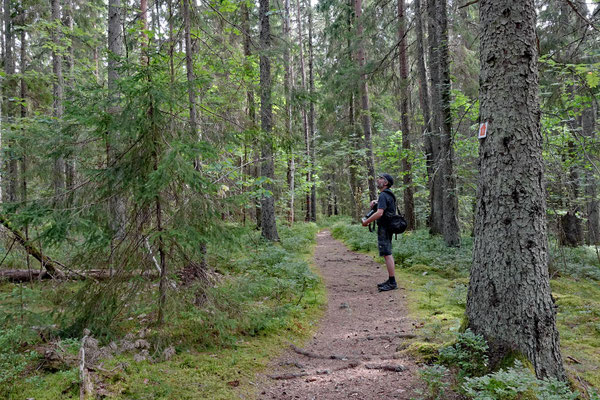 (A) Tivedens Nationalpark