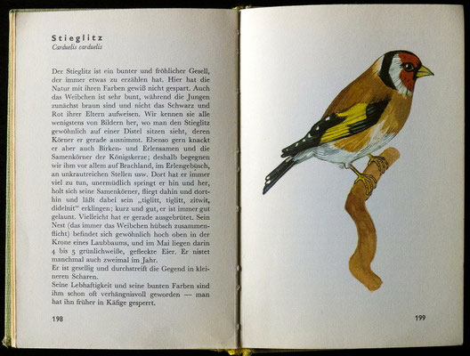 Zum 9. Geburtstag gekauft: Taschenatlas der Vögel, J. Spirhanzl-Duris u. J. Solovjev, Dausien-Verlag, 3. Auflage 1963