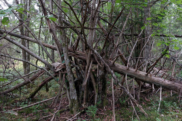 (A) Garphyttans Nationalpark