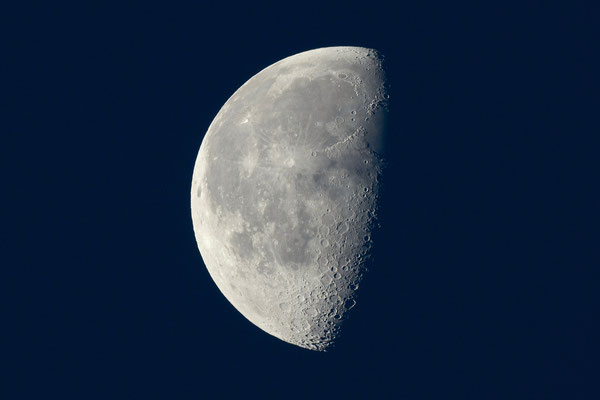 Niedersachsen, 27.07.2024, 5:37 Uhr, 600mm freihand, f/9.0, 1/160 Sek., ISO 720