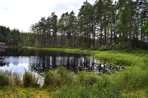 Tivedens Nationalpark
