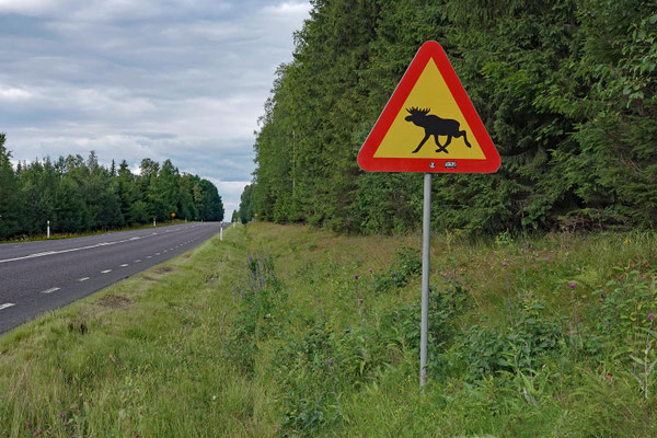 (A)