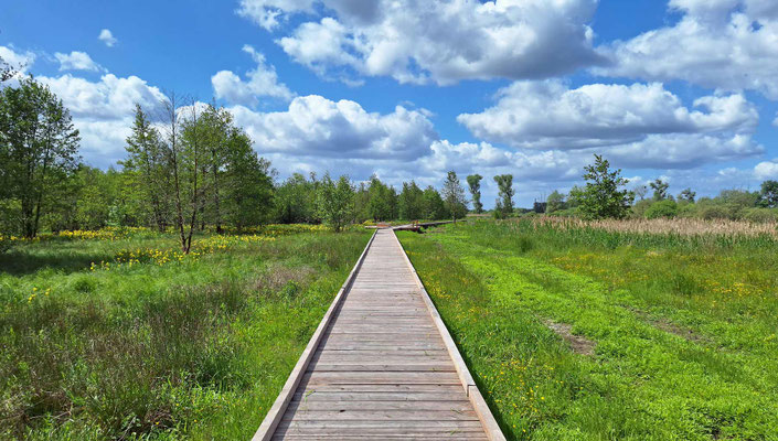 Biosphärenreservat Drömling, Sachsen-Anhalt