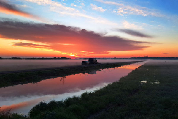 Moorgebiet in Niedersachsen