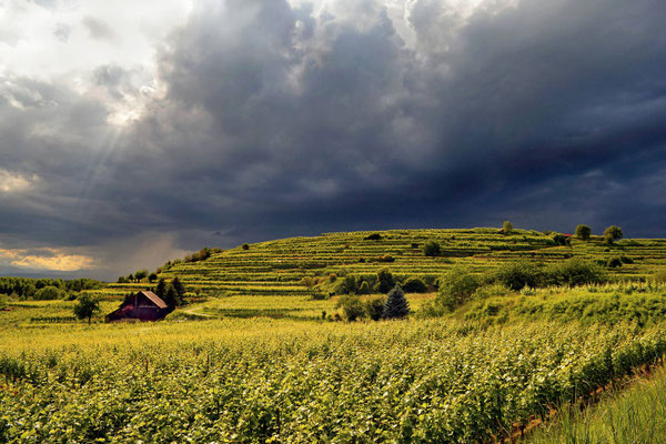 Heftiges Gewitter im Anmarsch