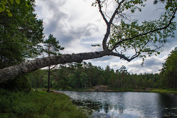 Tivedens Nationalpark