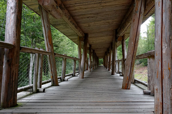 Wildgehege Bayerischer Nationalpark (A)