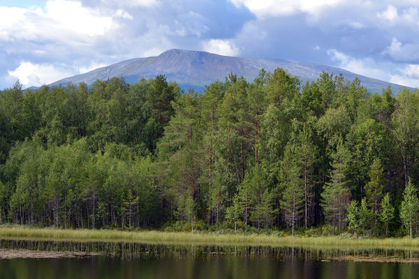 Blick vom Campingplatz auf den Sonfjället