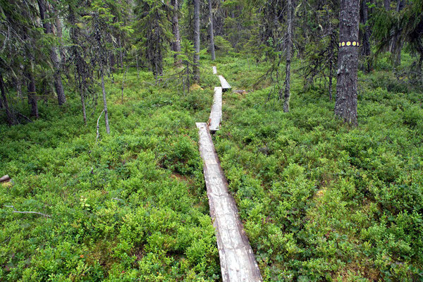 Hamra Nationalpark