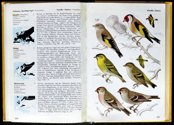 Zum 10. Geburtstag das erste richtige Bestimmungsbuch: Welcher Vogel ist das?, W. Cerny u. K. Drchal, Kosmos-Verlag, 1. Auflage 1973
