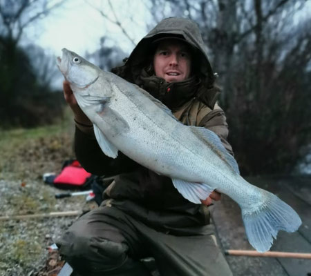 Toller Zander