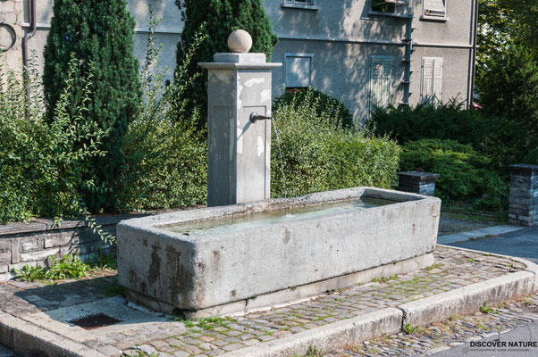 Brunnen Grand-Rames (Fribourg)