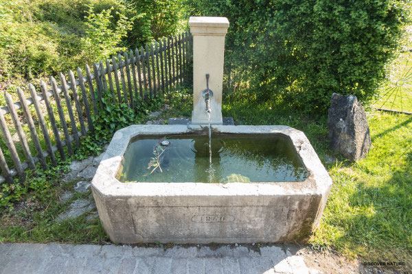 Alter Brunnen - Stein am Rhein