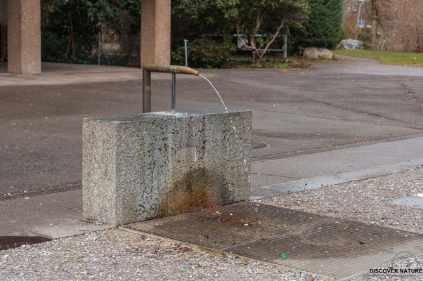 Brunnen Nr. 1025 Bändlistrasse hinter 10