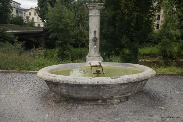 Brunnen Lindenstrasse - Frauenfeld