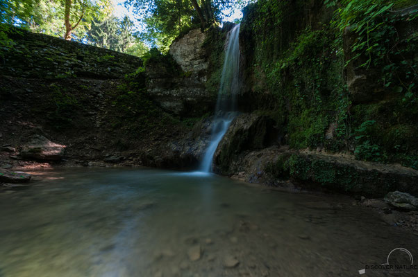Linn - Kanton Aargau