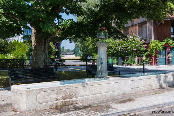 Dorfbrunnen Hermikon