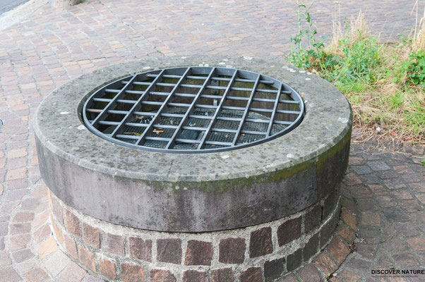 Alter Brunnen im Zentrum