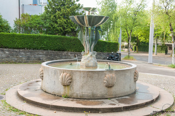 Brunnen Nr. 288 (Seepferdchenbrunnen) Hofwiesenstrasse