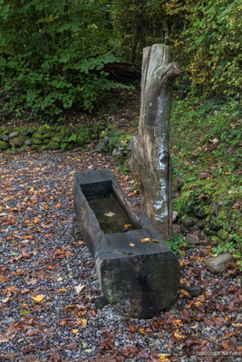 Brunnen Holzkorperation
